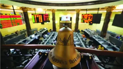 خبيرة تكشف الهدف من طرح شركة وطنية وصافي في البورصة المصرية