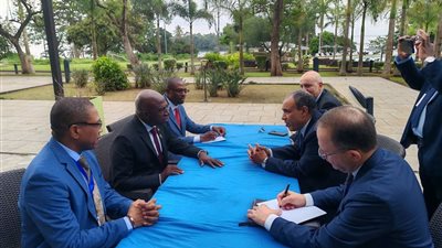 نشاط مكثف لوزير الخارجية في غينيا لتعزيز التعاون وتكريس قيادة مصر للقارة السمراء