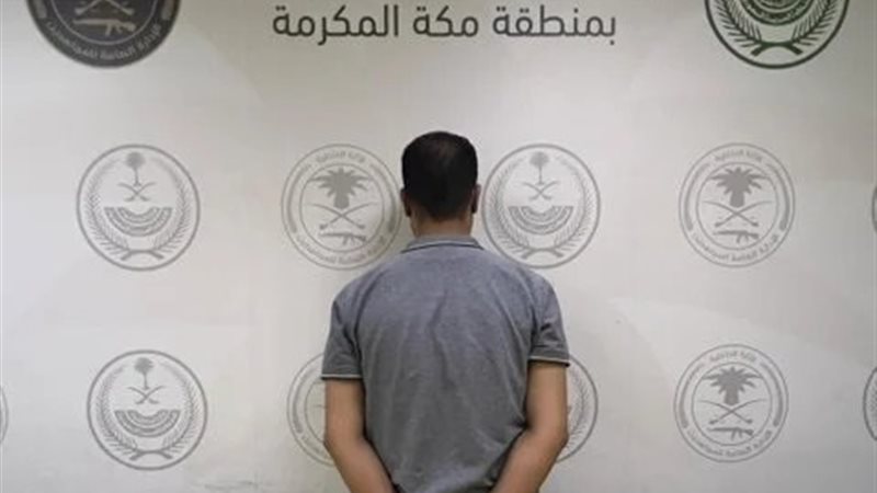 صورة الوافد المصري