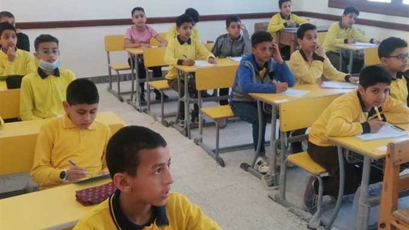 المواد المضافة للمجموع