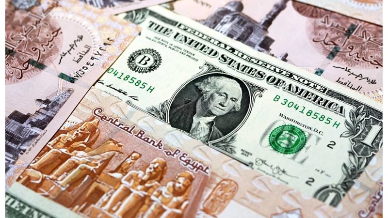 سعر الدولار اليوم