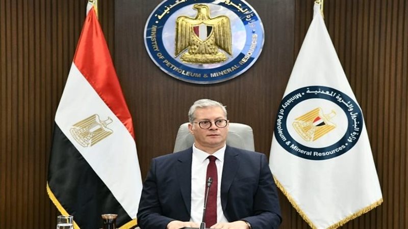 المهندس كريم بدوي