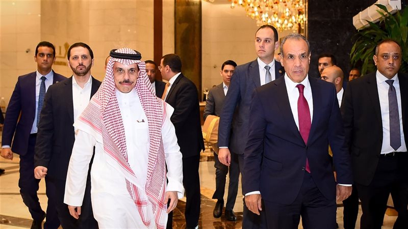 الدكتور بدر عبد العاطي