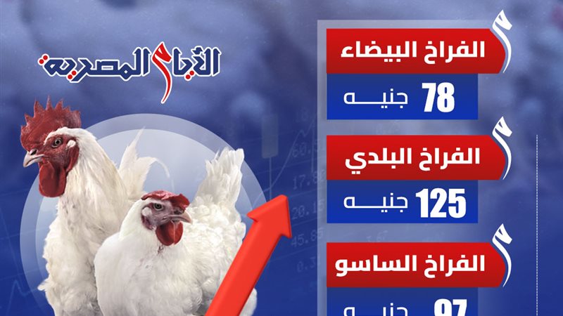 أسعار الدواجن اليوم