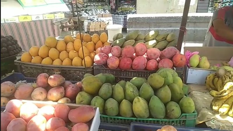 أسعار الفاكهة اليوم