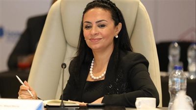 مايا مرسي: فريق التدخل السريع تعامل مع 780 بلاغا في شهرين