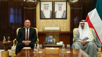 كامل الوزير: نجحنا في جذب 6 خطوط ملاحية عالمية إلى الموانئ المصرية