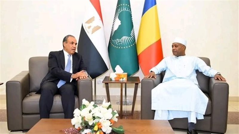 وزير الخارجية المصرية