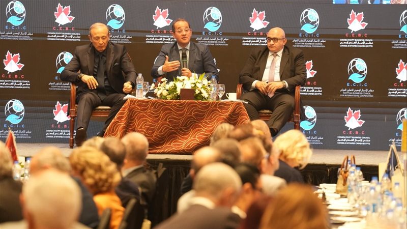 أحمد كجوك، وزير المالية