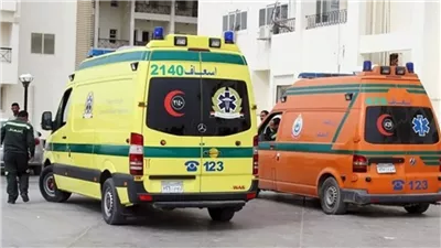 «كلهم ماتوا»، وفاة الطفلة السادسة من أسرة دلجا بالمنيا بعد أيام من إصابتها