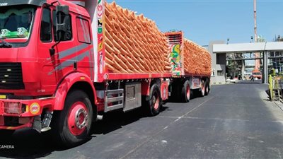 12 مليون شيكارة سماد للمزارعين وتسليم 70% من احتياجات الصيف للتعاونيات