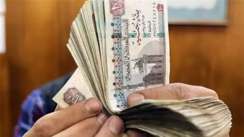 زيادة المعاش التكميلي