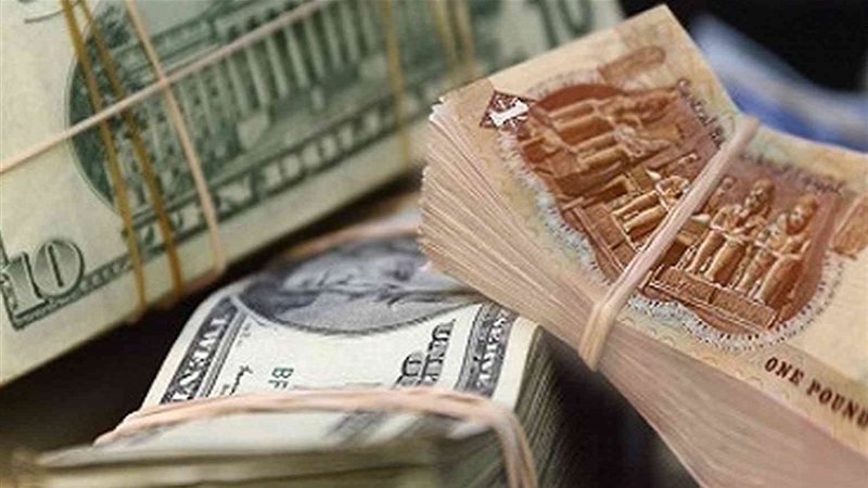 سعر الدولار اليوم
