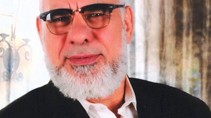 الايام المصرية