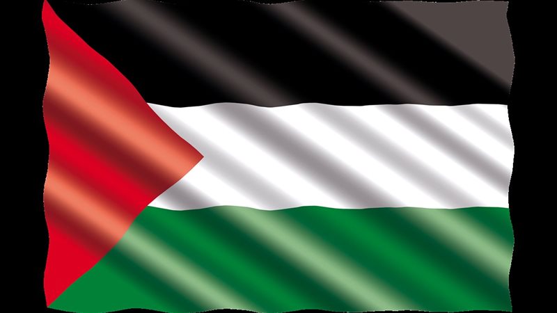 علم دولة فلسطين