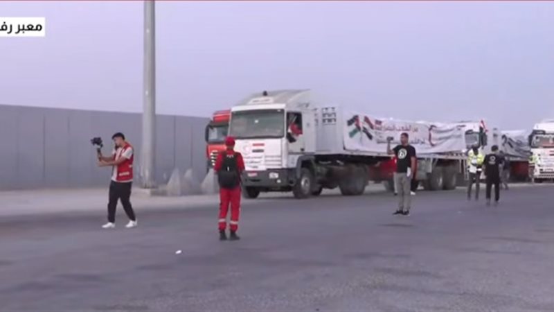 المساعدات المصرية