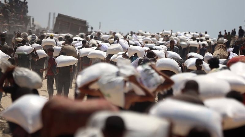 الايام المصرية