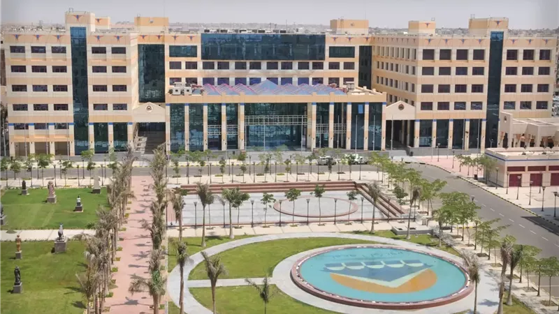 توقعات تنسيق كلية