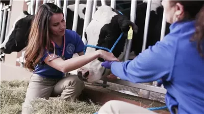 تنسيق الطب البيطري 2025، اعرف هتشتغل إيه بعد التخرج