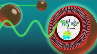 علماء يبتكرون خلايا بالذكاء الاصطناعي تنبض بالساعة البيولوجية طوال 24 ساعة (فيديو)