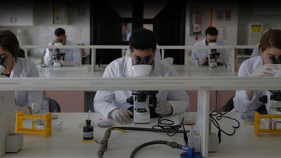 هل توجد صيدلة في المرحلة الثانية 2025؟