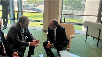 تنسيق مصري - ألماني لحقن دماء الشعب الفلسطيني وضمان تدفق المساعدات الإنسانية