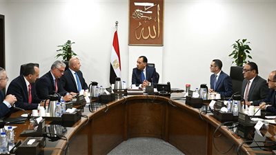 توطين صناعة السيارات الكهربائية في مصر، كواليس اجتماع مدبولي مع وزير الصناعة اليوم