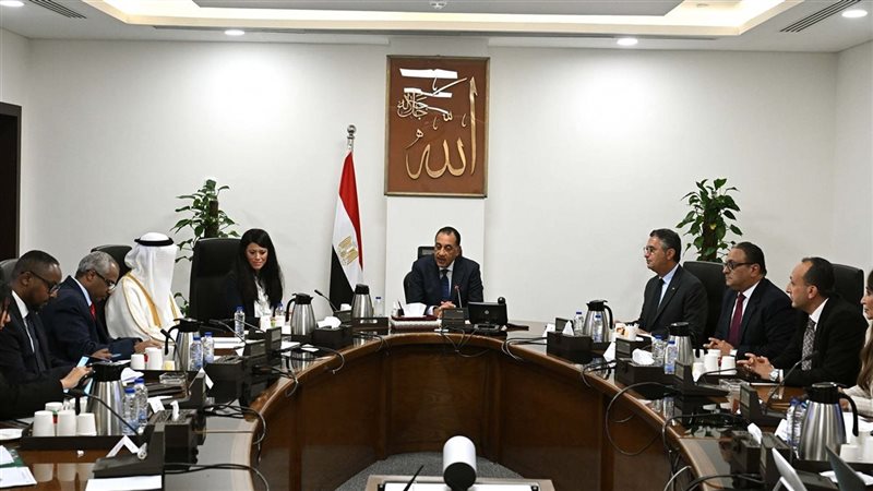 رئيس الوزراء يلتقى
