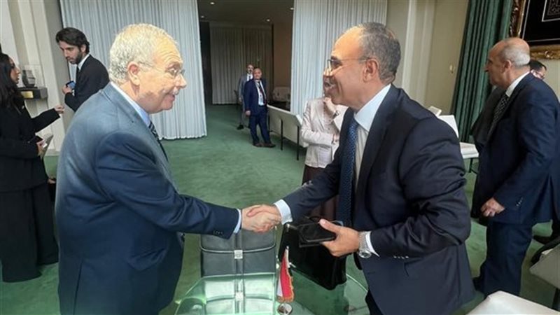 وزير الخارجية يلتقي