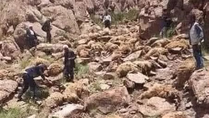قصة صورة، ما معنى