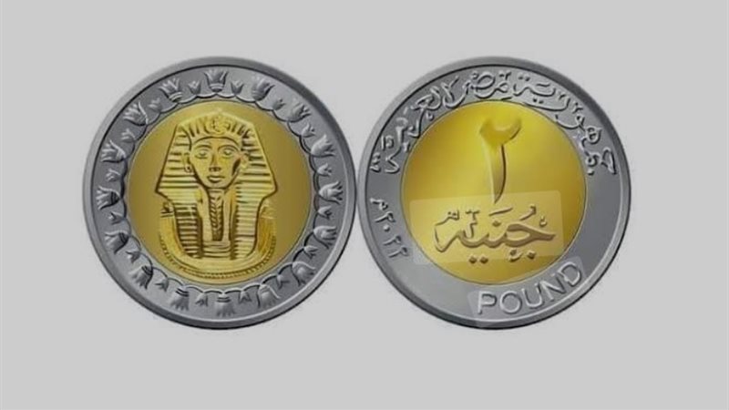 عملة معدنية فئة جنيهان