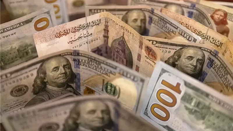 سعر الدولار اليوم