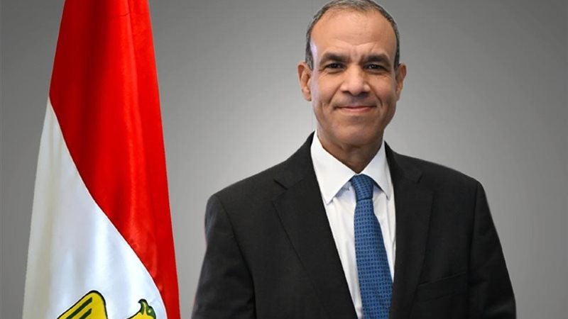 عبدالعاطي: مصر تبذل