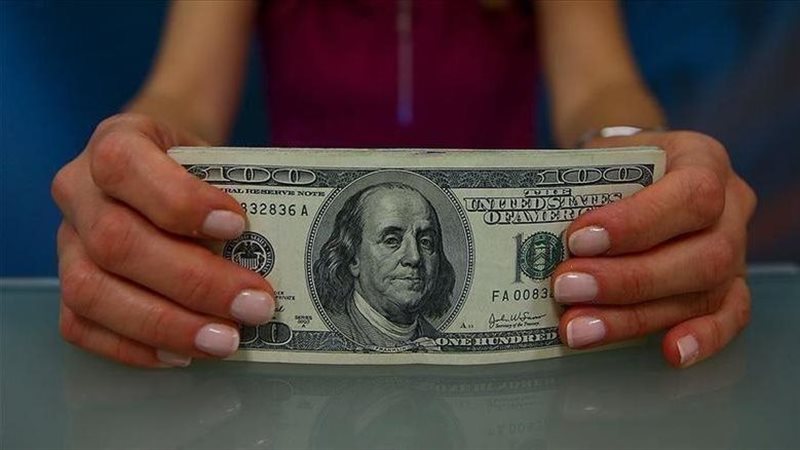 سعر الدولار اليوم