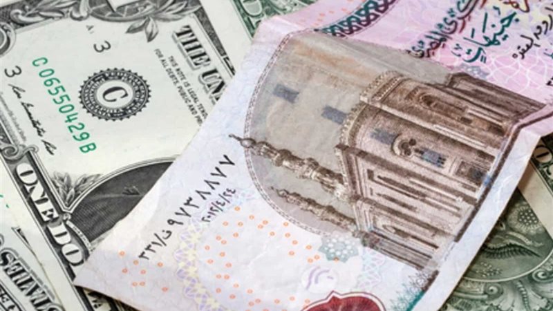 سعر الدولار في مصر