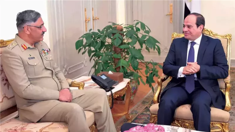 الرئيس السيسي يلتقي