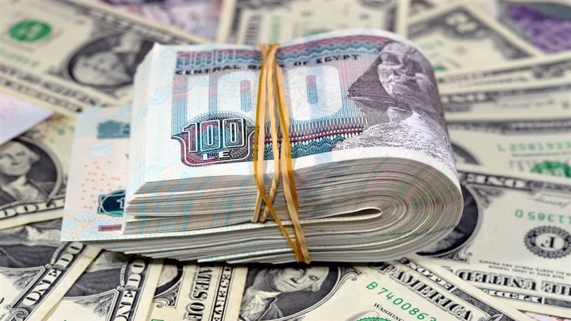 استقرار سعر الدولار