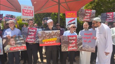 مظاهرات الإخوان في إسرائيل ضد مصر، تمارا حداد: الجماعة أداة تضليل وتفتيت