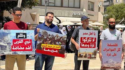 مظاهرات الإخوان في إسرائيل ضد مصر، الهباش: لا تمثل الشعب الفلسطيني