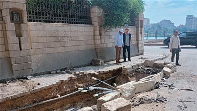 لمواجهة أحمال الصيف، إضافة مصدر تغذية ثالث للكهرباء بمحطة محولات جزيرة الدهب