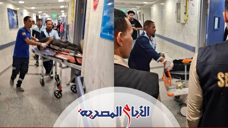 الايام المصرية