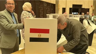 المصريون بالخارج يواصلون التصويت في ثاني انتخابات مجلس الشيوخ 2025