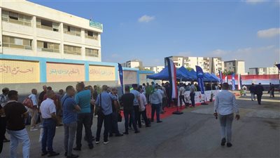 انتخابات مجلس الشيوخ 2025، كل ما تريد معرفته (المواعيد وطريقة التصويت)