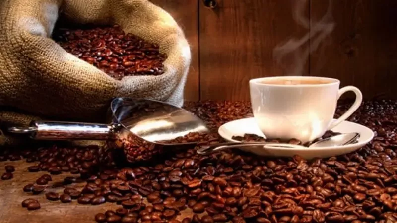 الولايات المتحدة