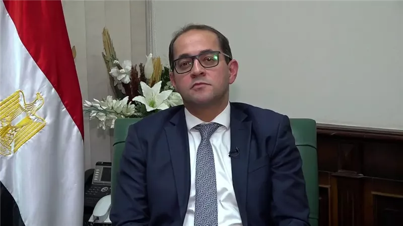 أحمد كجوك، وزير المالية