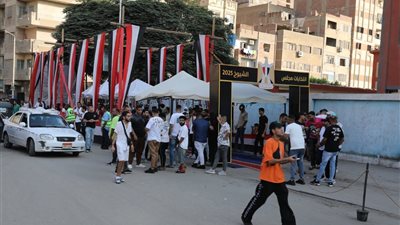 متى يصبح صوت الناخب باطلا في انتخابات مجلس الشيوخ 2025؟