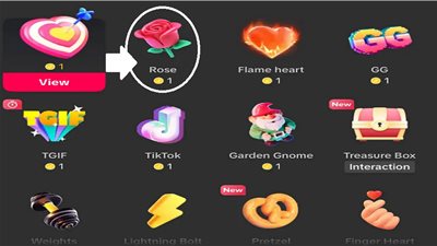 من وردة إلى أسد.. أسعار هدايا تيك توك تشعل الجدل 