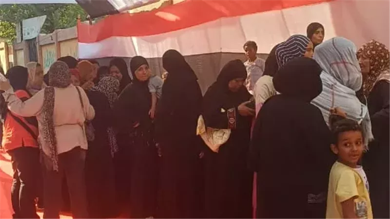 انتخابات مجلس الشيوخ