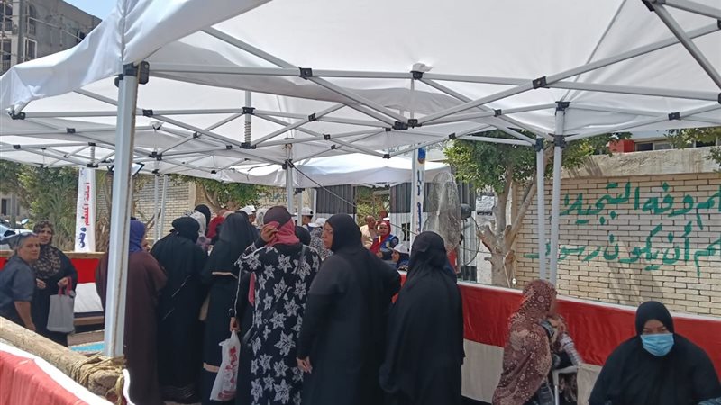 انتخابات مجلس الشيوخ