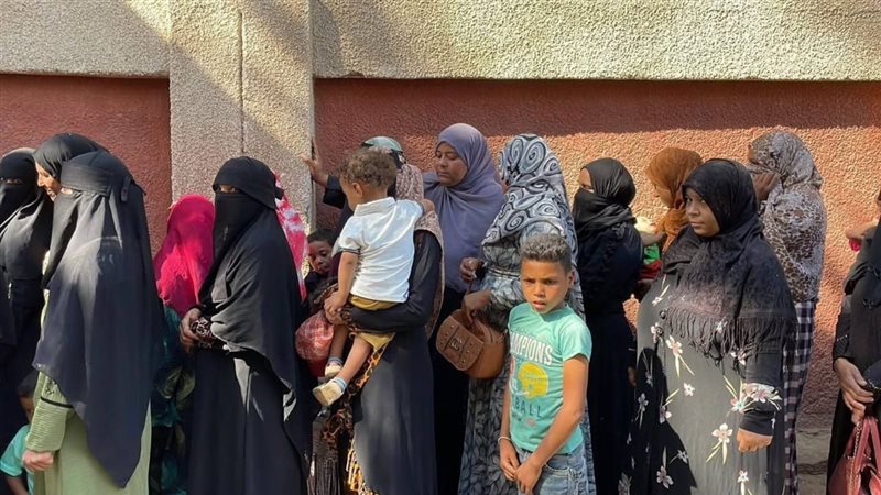 انتخابات مجلس الشيوخ